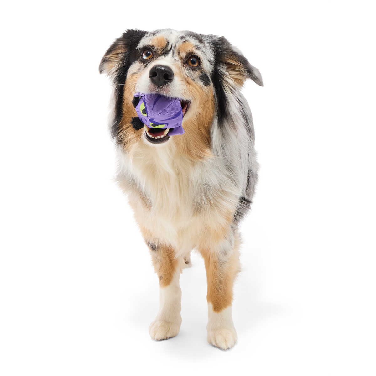 Zeb Orrelios™ Super Chewer Durable 2-in-1 + Fetch Dog Toy