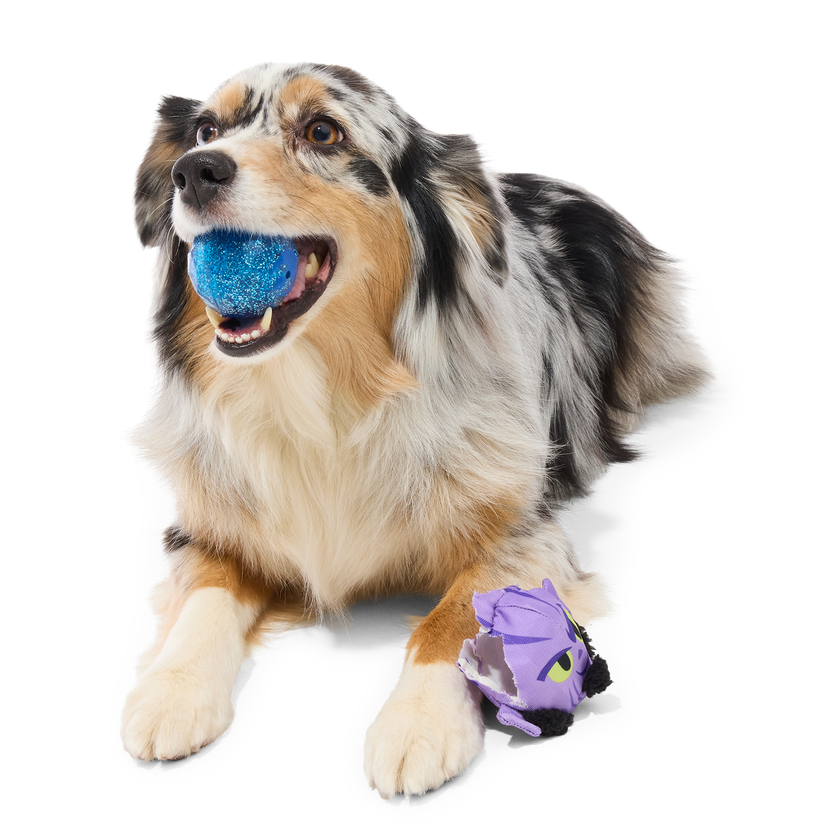 Zeb Orrelios™ Super Chewer Durable 2-in-1 + Fetch Dog Toy