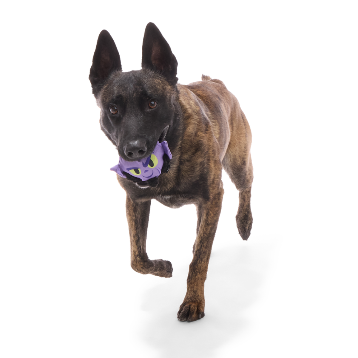 Zeb Orrelios™ Super Chewer Durable 2-in-1 + Fetch Dog Toy