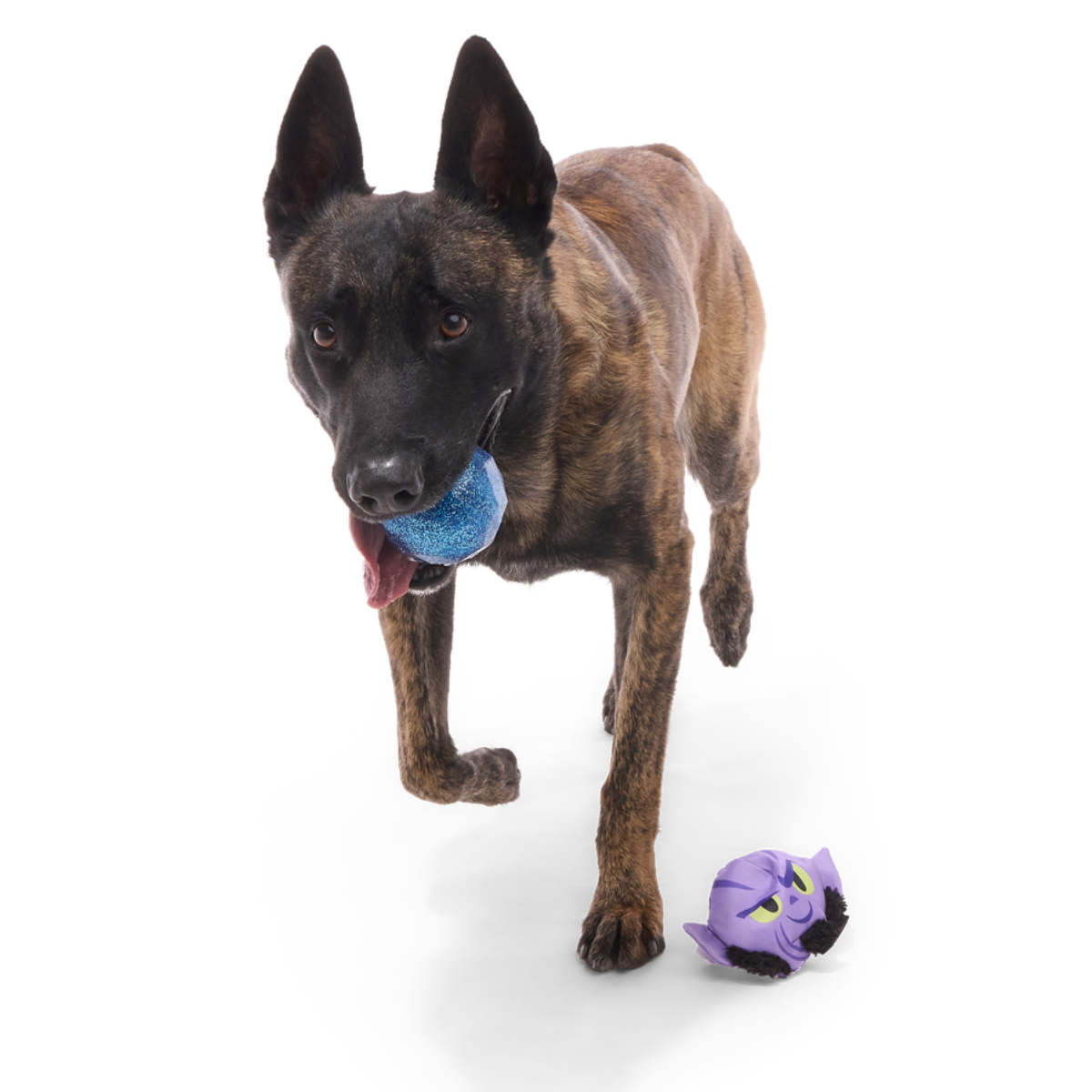 Zeb Orrelios™ Super Chewer Durable 2-in-1 + Fetch Dog Toy
