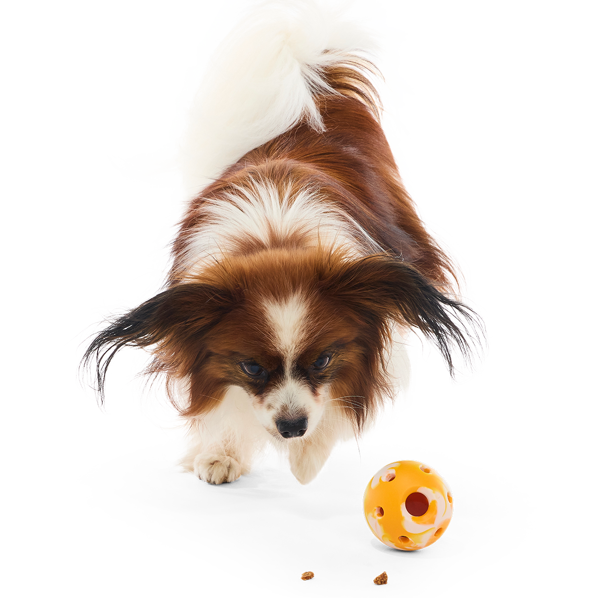 Crocs™ N' Roll Ball Super Chewer Durable Fetch + Enrichment Dog Toy