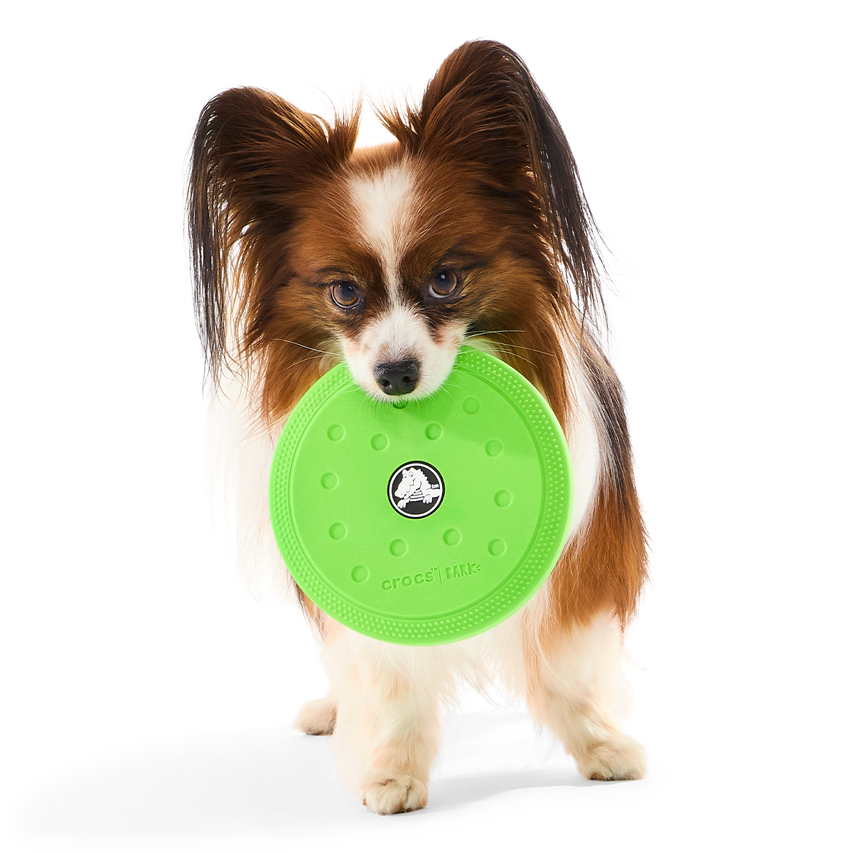 Crocs™ Foam Flyer Super Chewer Durable Fetch Dog Toy