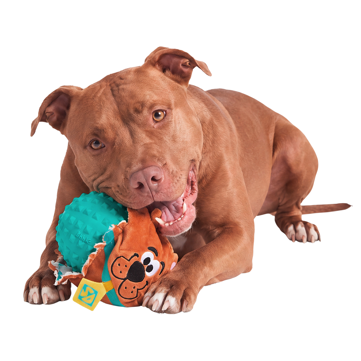 Scoob!™ Ball Super Chewer Durable 2-in-1 + Fetch Dog Toy