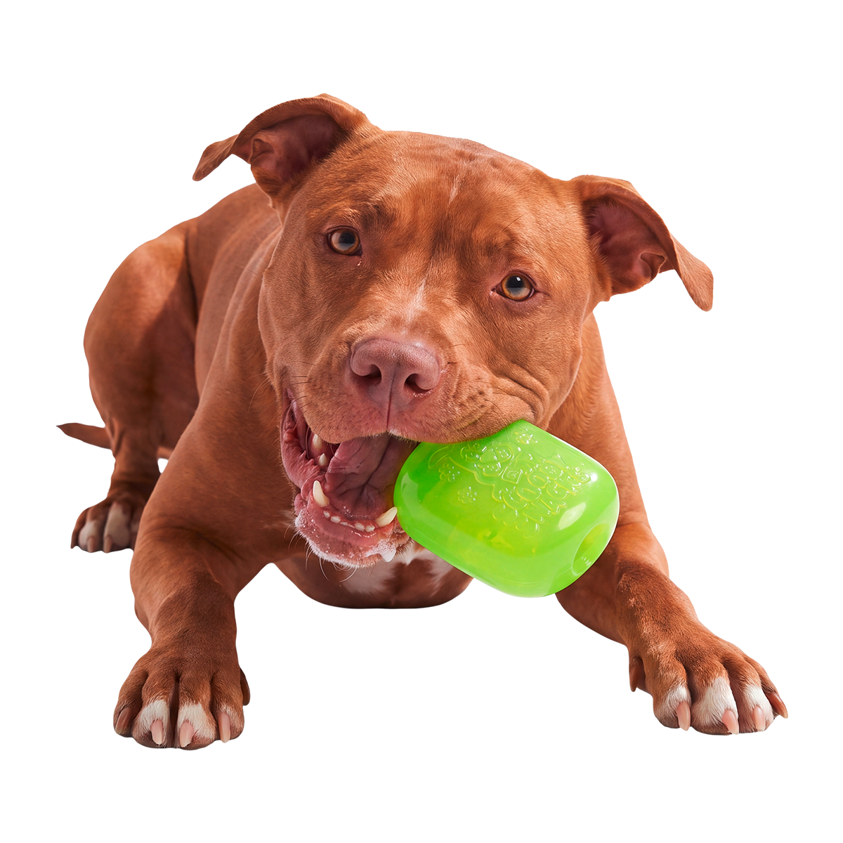 Scooby™ Snacker Super Chewer Durable Enrichment Dog Toy