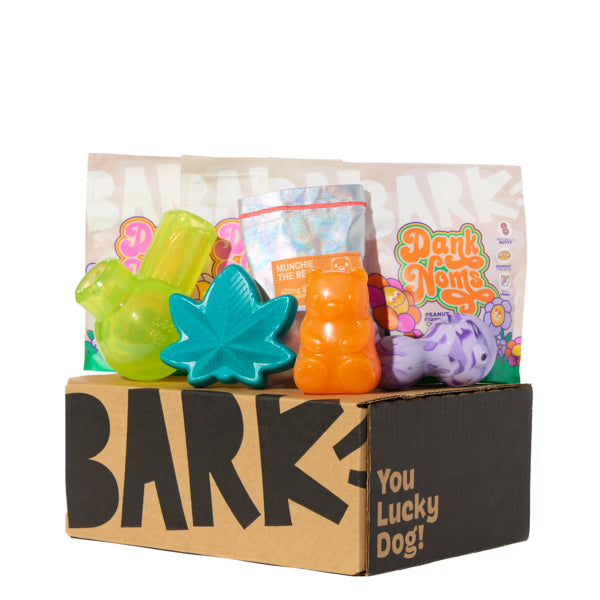 Super Chewer 12 Month Subscription - Bud Hounds Double Deluxe First Box