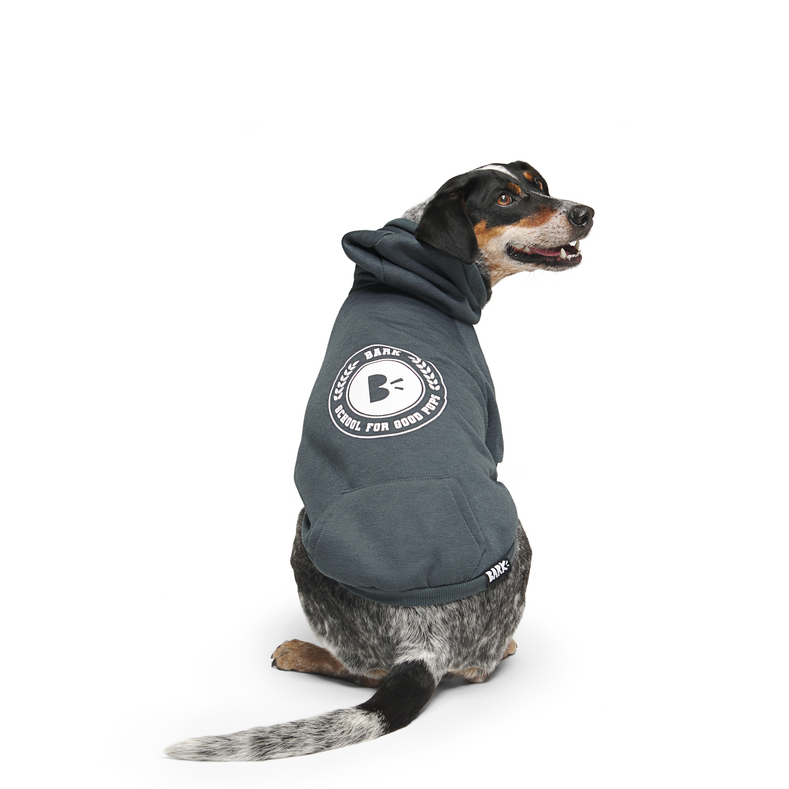 Collegiate dog fashion apparel