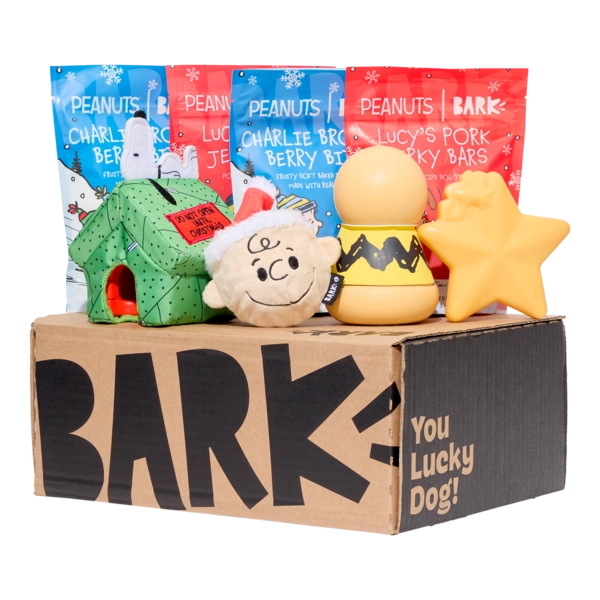 BARK 6 Month Subscription - Peanuts Double Deluxe First Box