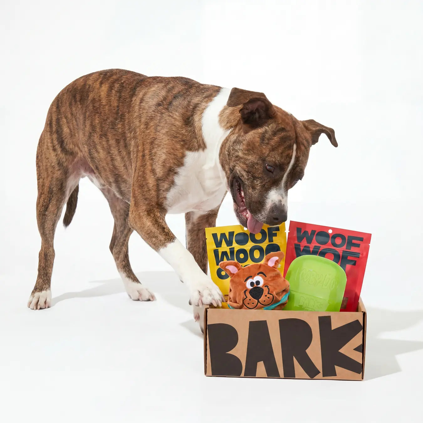 BARK 12 Month Subscription - Scooby-Doo™ Double Deluxe First Box