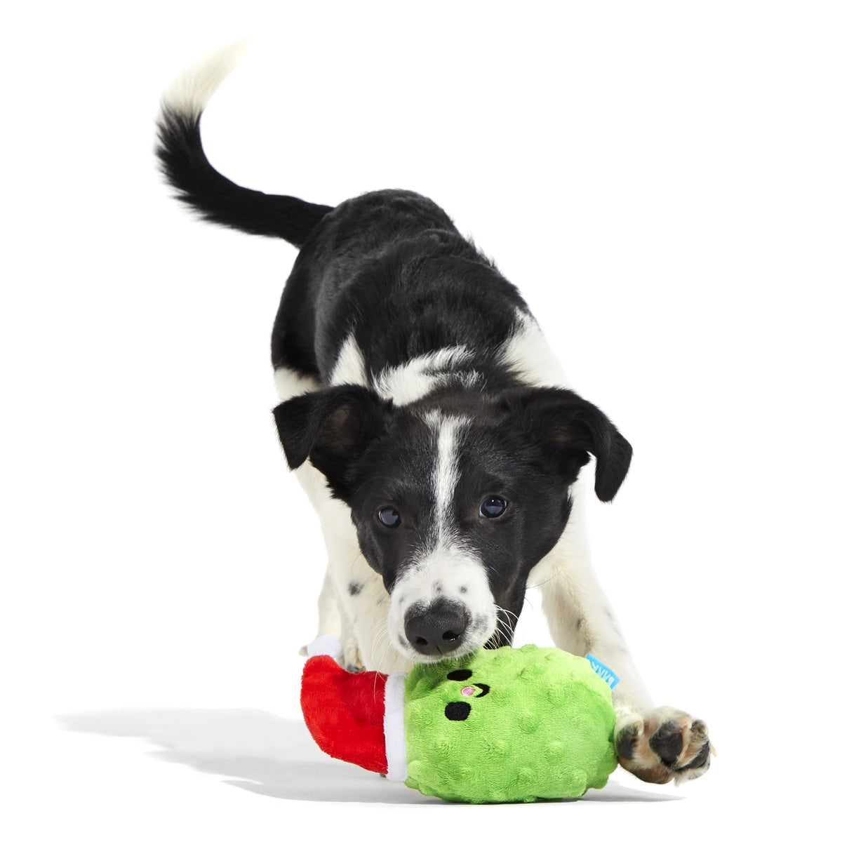 Pickle Claus Plush Dog Toy