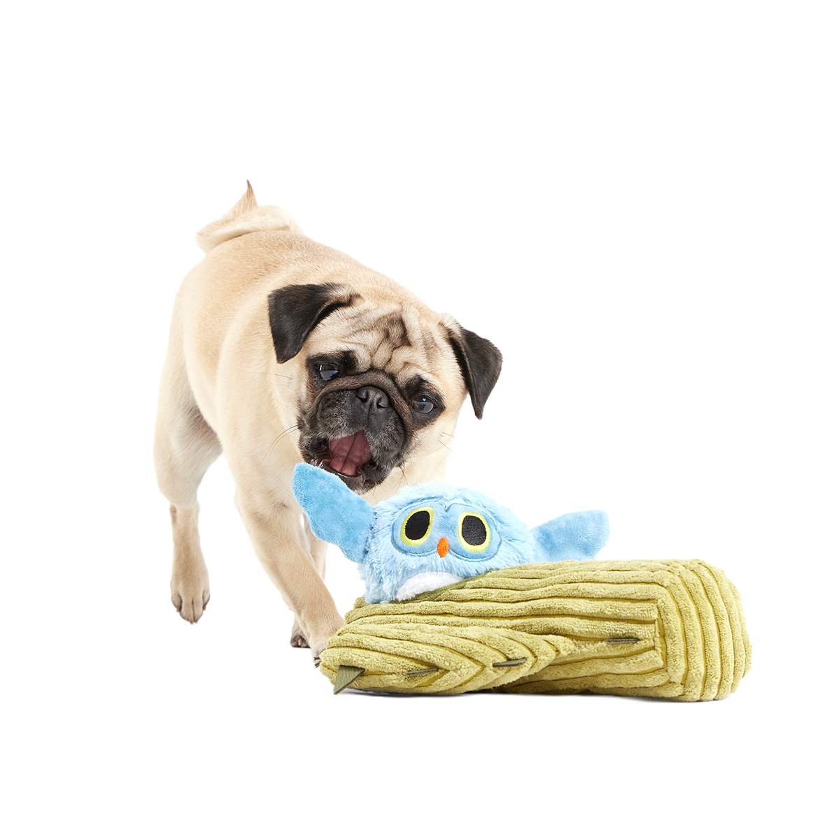 Saguaro Sammy Plush Multi-Part + Tug Dog Toy