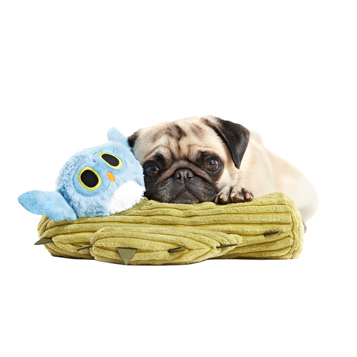 Saguaro Sammy Plush Multi-Part + Tug Dog Toy