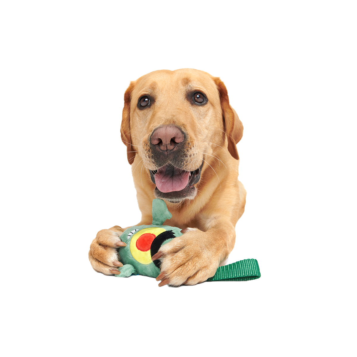 Sheldon J. Plankton Plush Tug Dog Toy