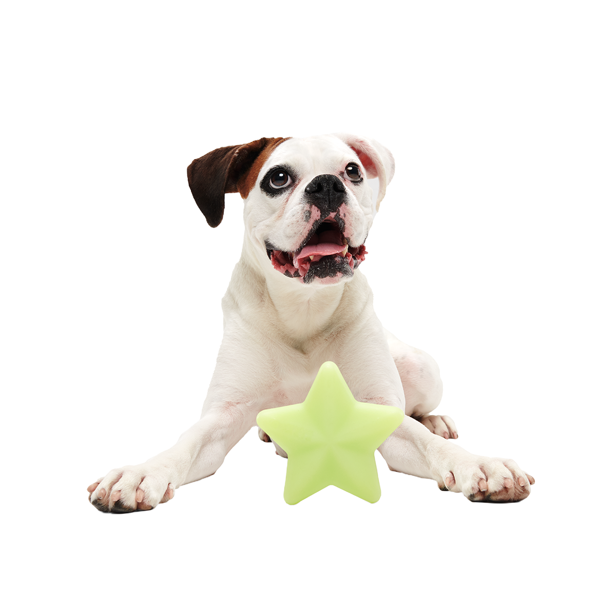 Shooting Starf Super Chewer Durable Gnaw Dog Toy