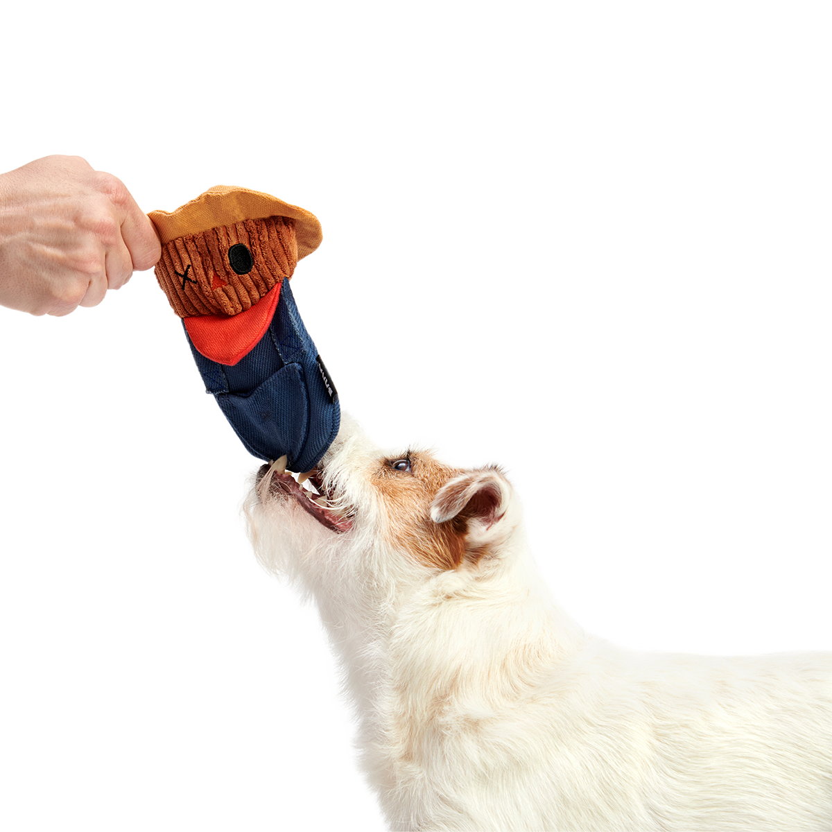Shreddy Eddy the Scarecrow Super Chewer Durable 2-in-1 + Tug Dog Toy