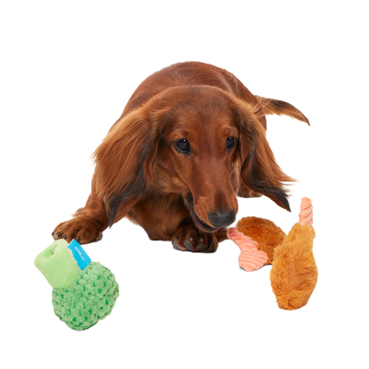 Sizzlin' Sea & Tree Sampletizer Plush Multi-Part + Enrichment Dog Toy
