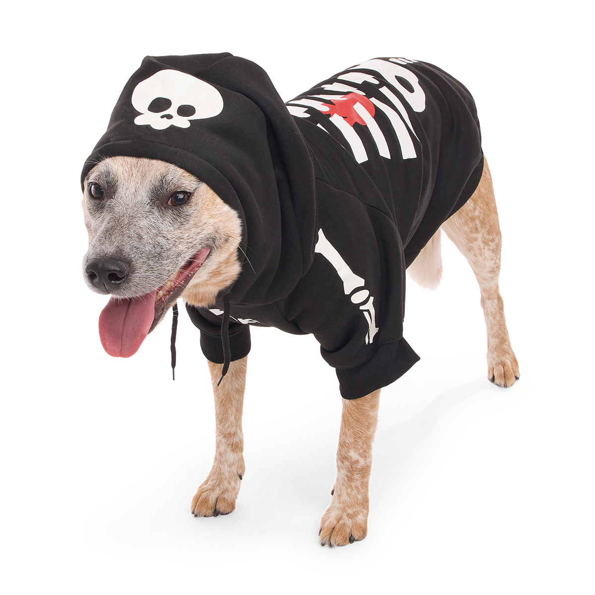 Skeleton Dog Hoodie