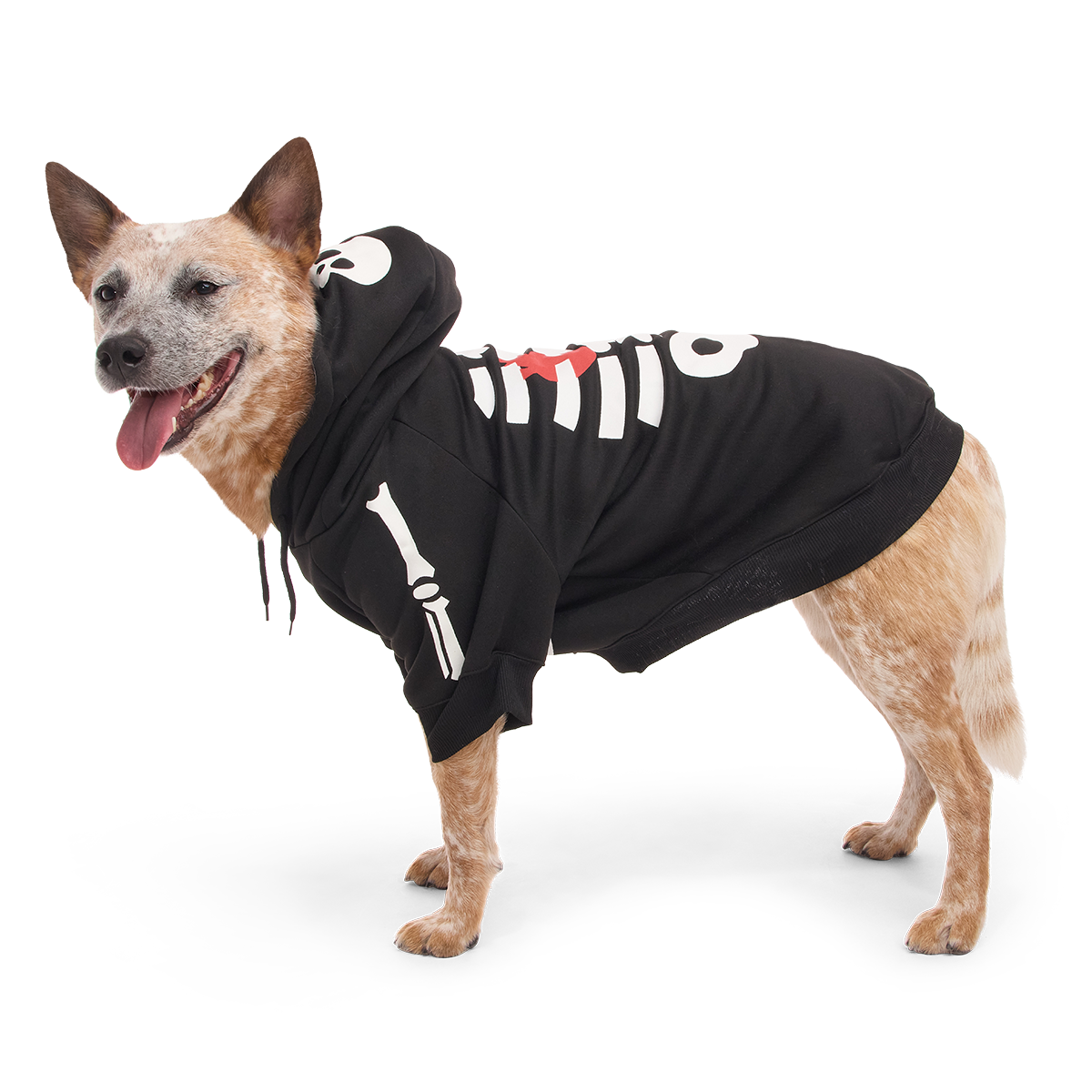 Skeleton Dog Hoodie