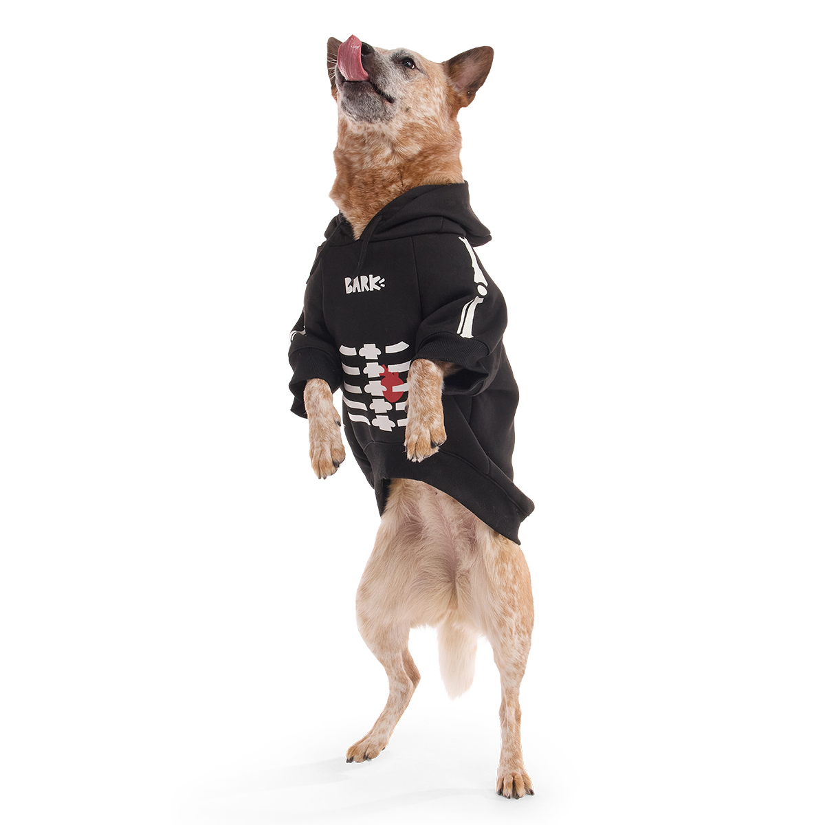 Skeleton Dog Hoodie