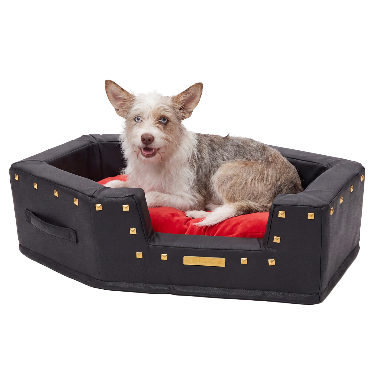 Sleep When You're Fed Dog Bed