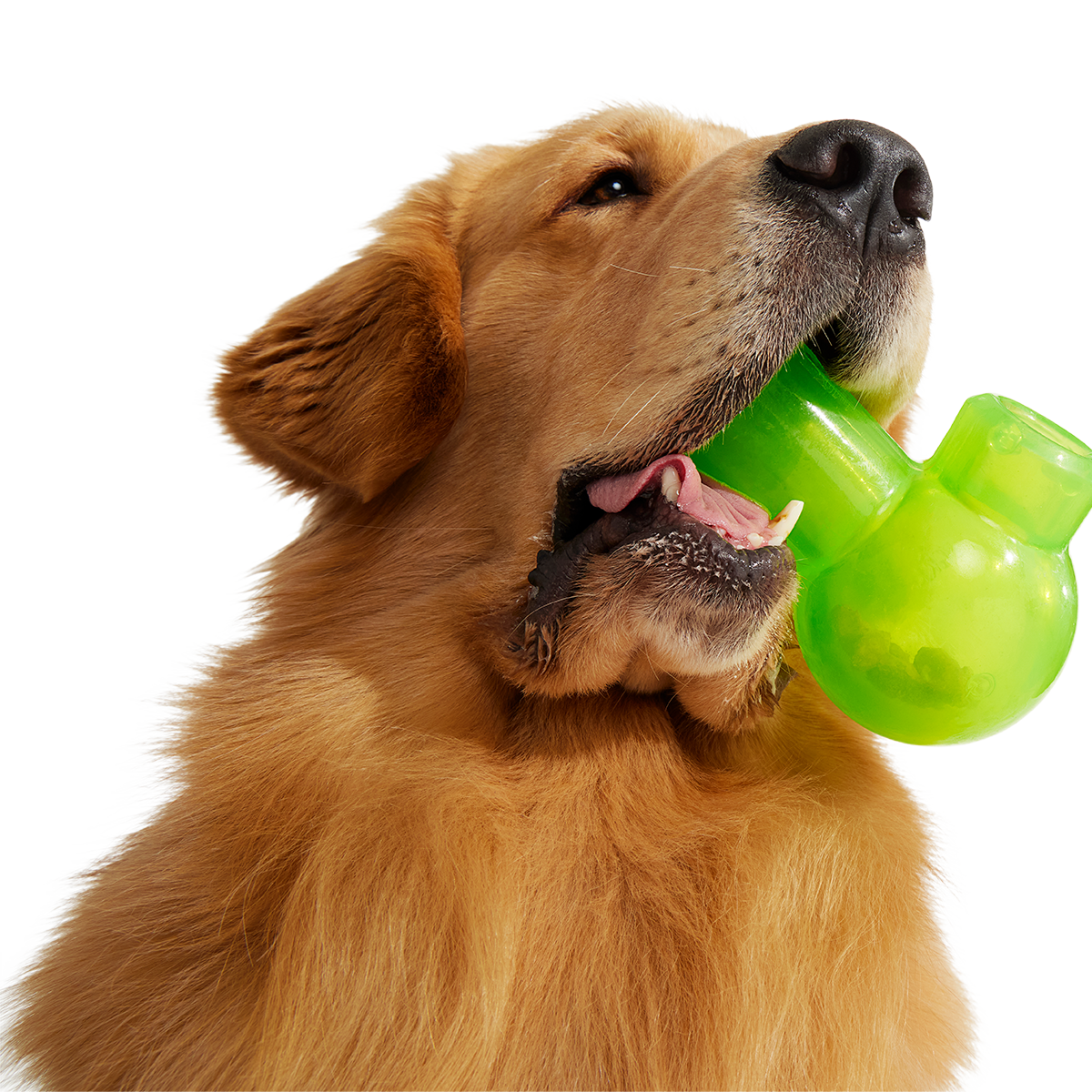 Snack Packed Bong Super Chewer Durable Enrichment Dog Toy