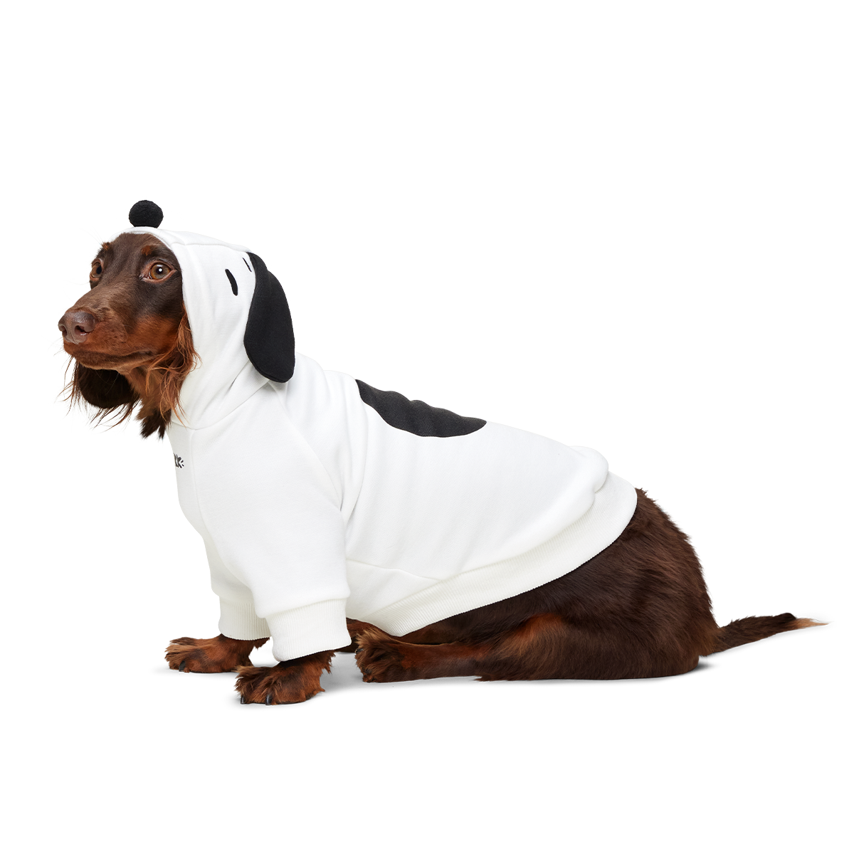 Snoopy Dog Hoodie