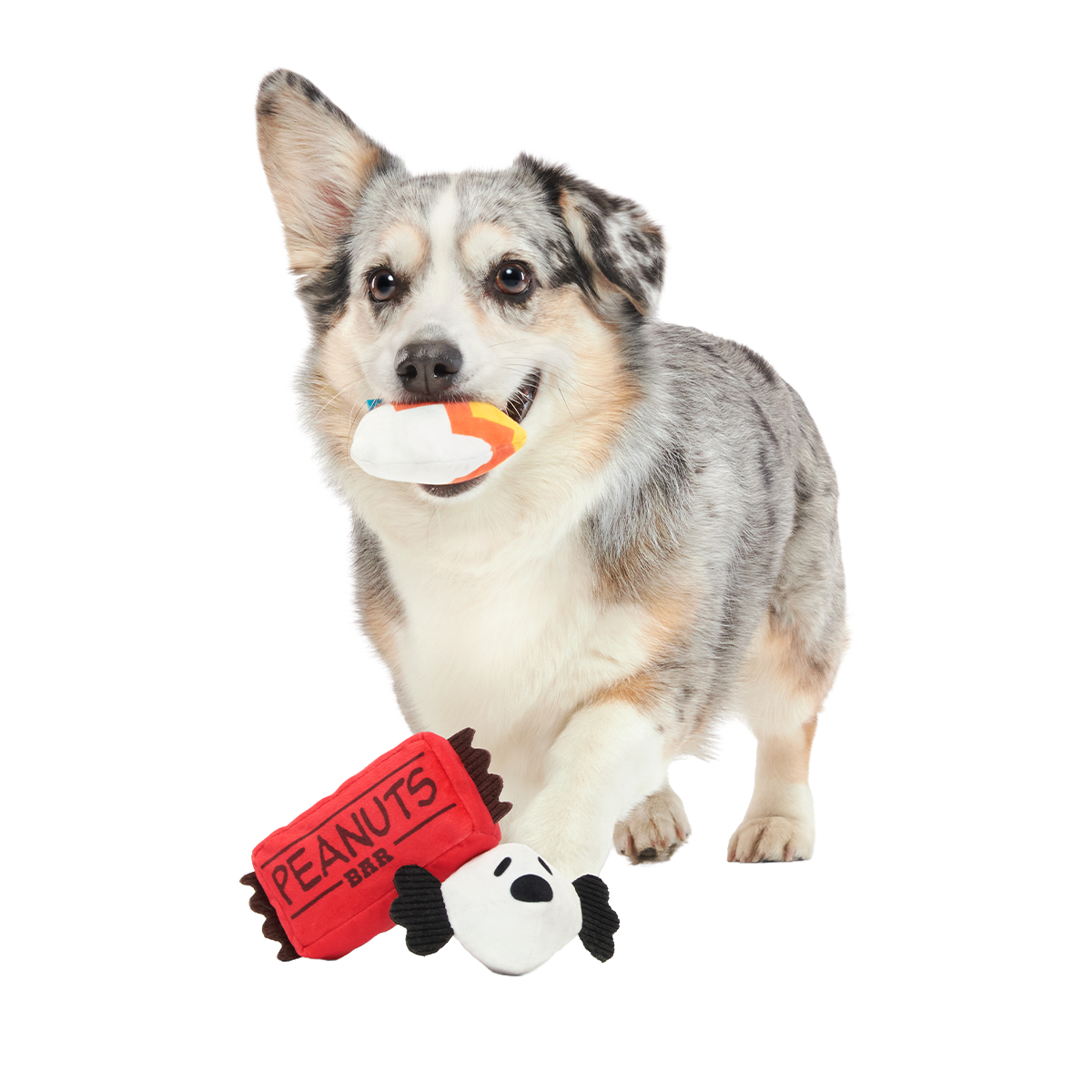 Snoopy Howl-O-Ween Candy Plush Multi-Part Dog Toy