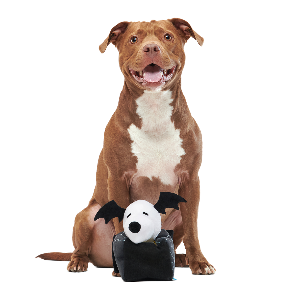 Snoopy's Haunted Doghouse Plush Multi-Part + Enrichment Dog Toy