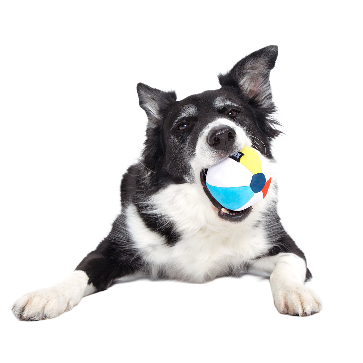 Spike The Beach Ball Super Chewer Durable 2-in-1 + Fetch Dog Toy