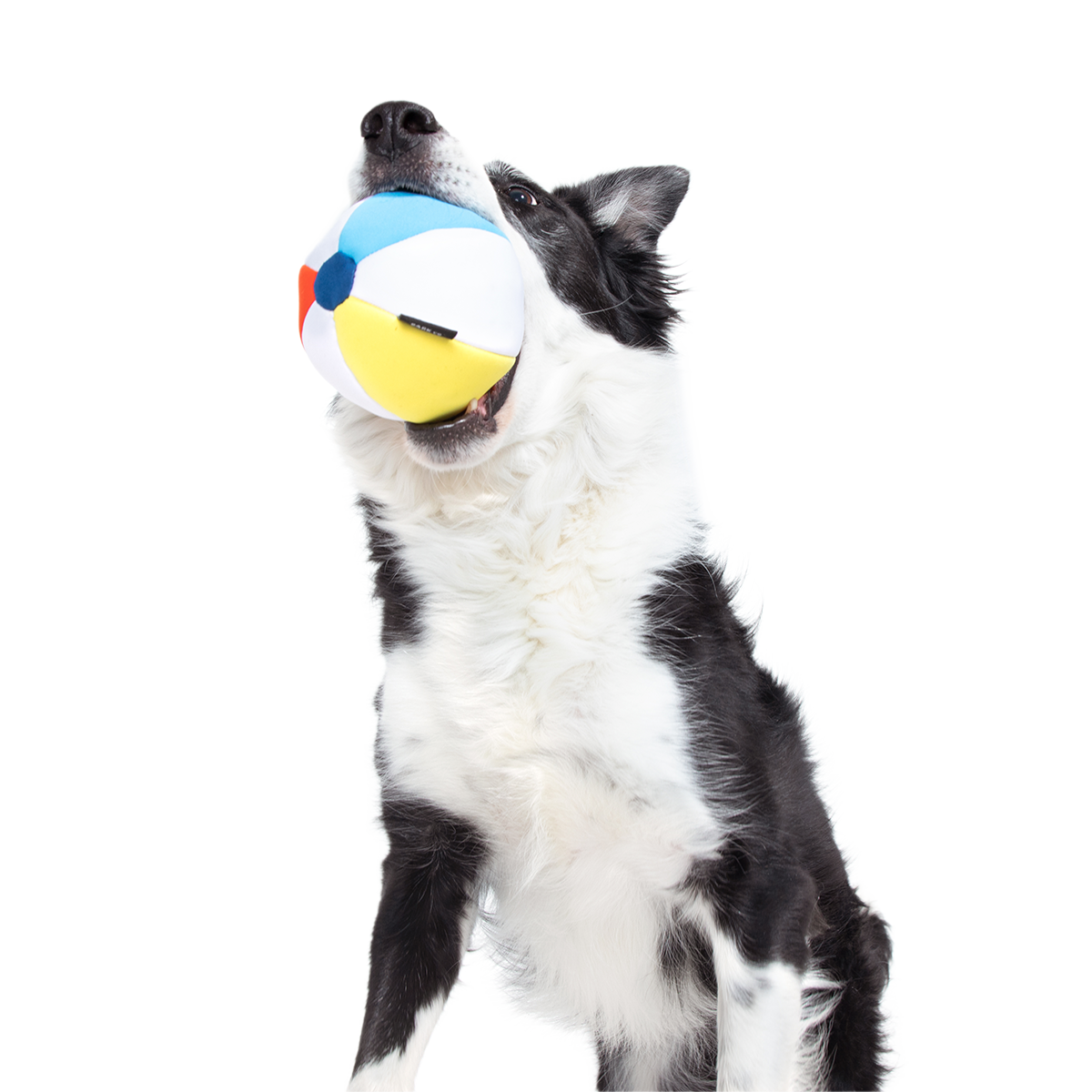 Spike The Beach Ball Super Chewer Durable 2-in-1 + Fetch Dog Toy