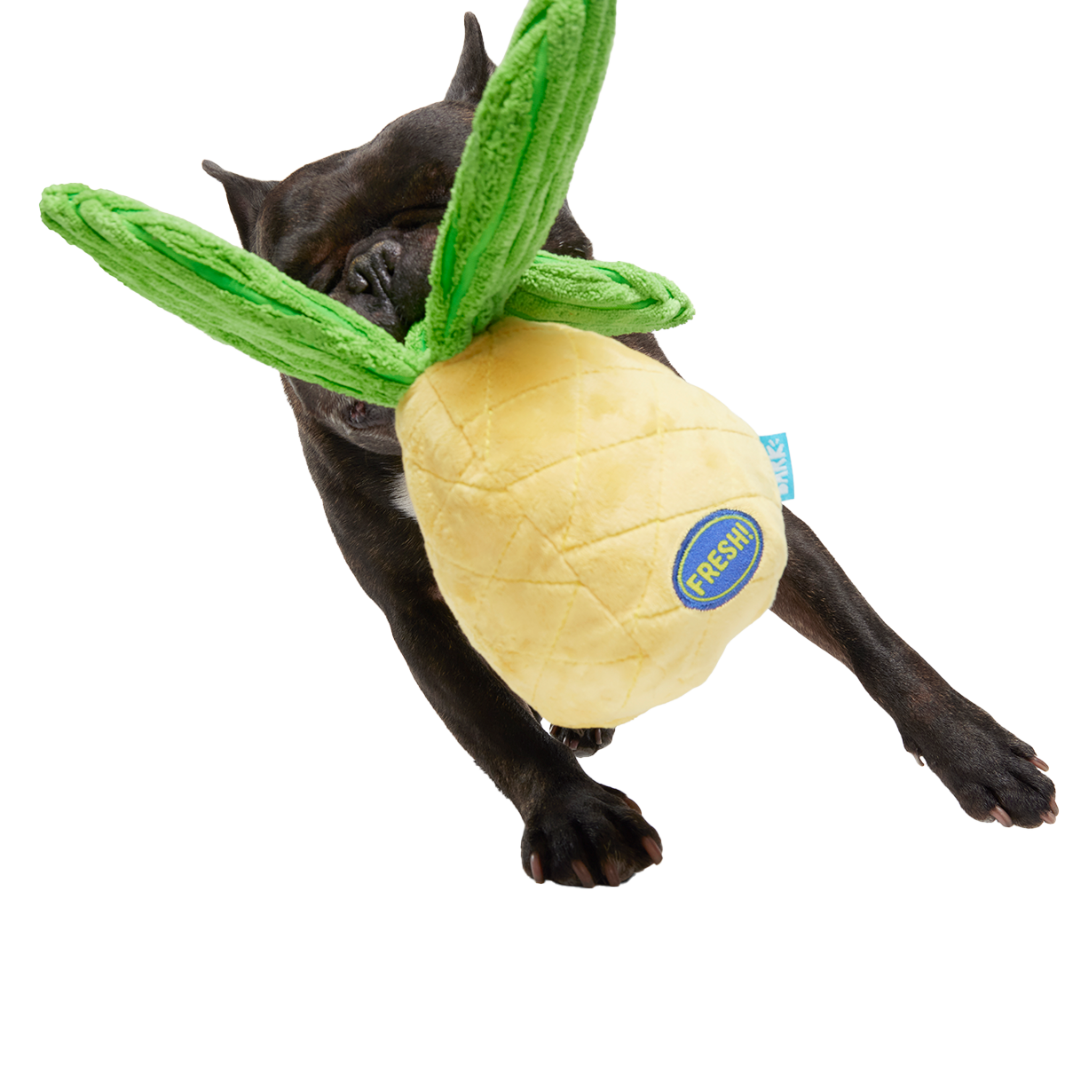 Spiky Pineyapple Plush Tug Dog Toy