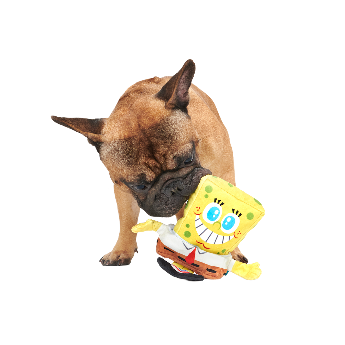 SpongeBob SquarePantsed Plush Multi-Part + Enrichment Dog Toy