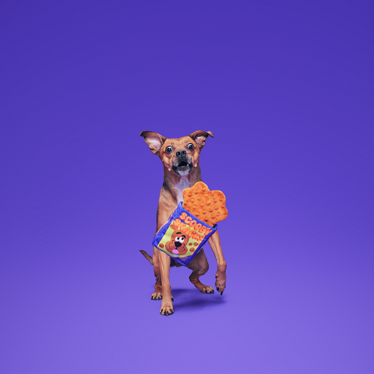 Spooky Scooby's™ Snacks Plush Enrichment Dog Toy