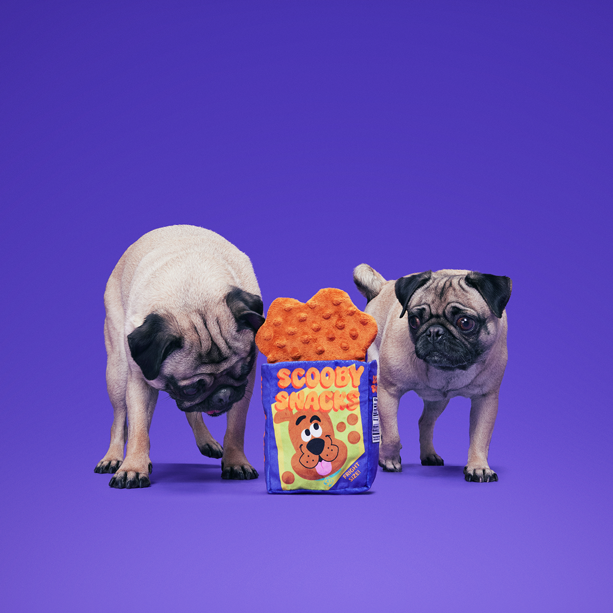 Spooky Scooby's™ Snacks Plush Enrichment Dog Toy