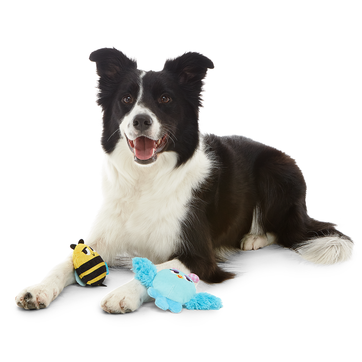 Spring Fling Plush Multi-Part + Fetch Dog Toy