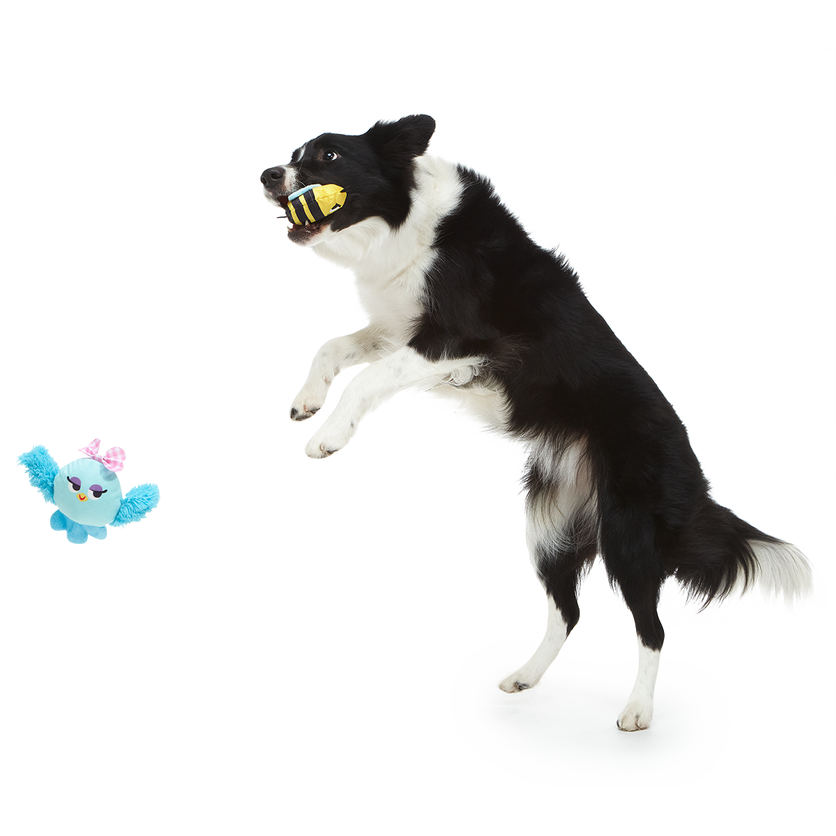 Spring Fling Plush Multi-Part + Fetch Dog Toy
