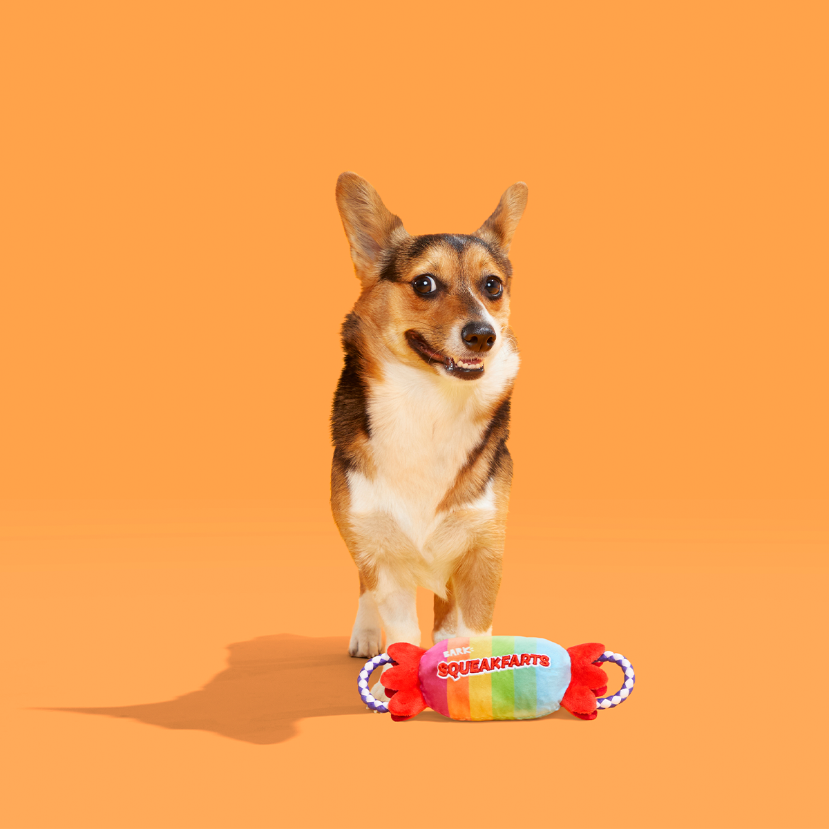 SqueakFarts Candy Plush Tug Dog Toy