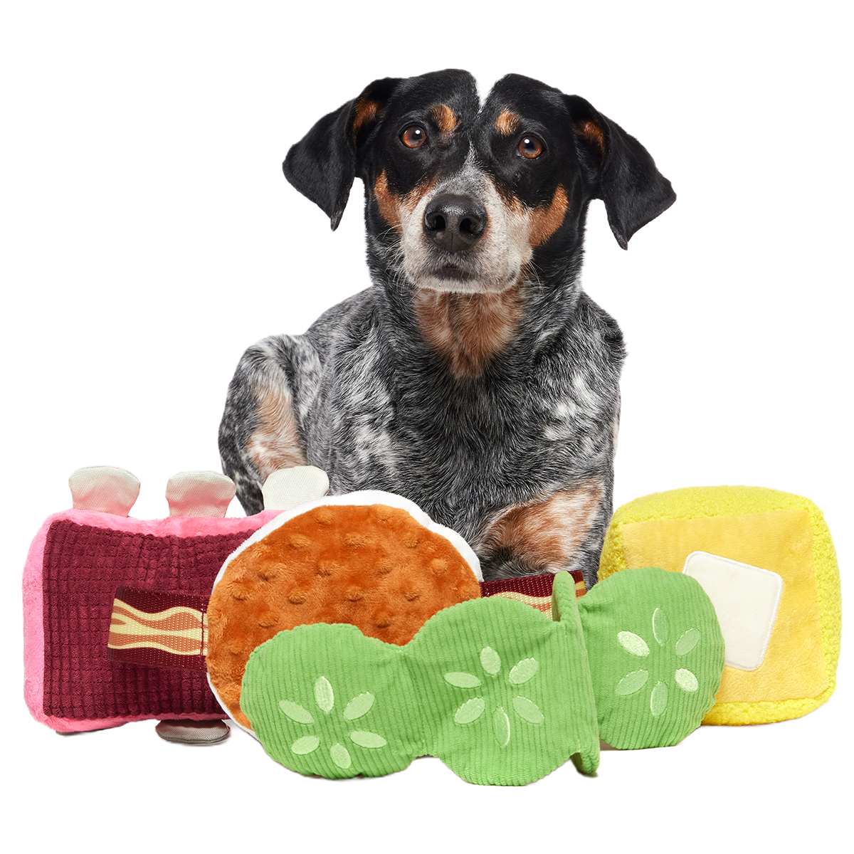Squeak & Three Plush Multi-Part Dog Toy