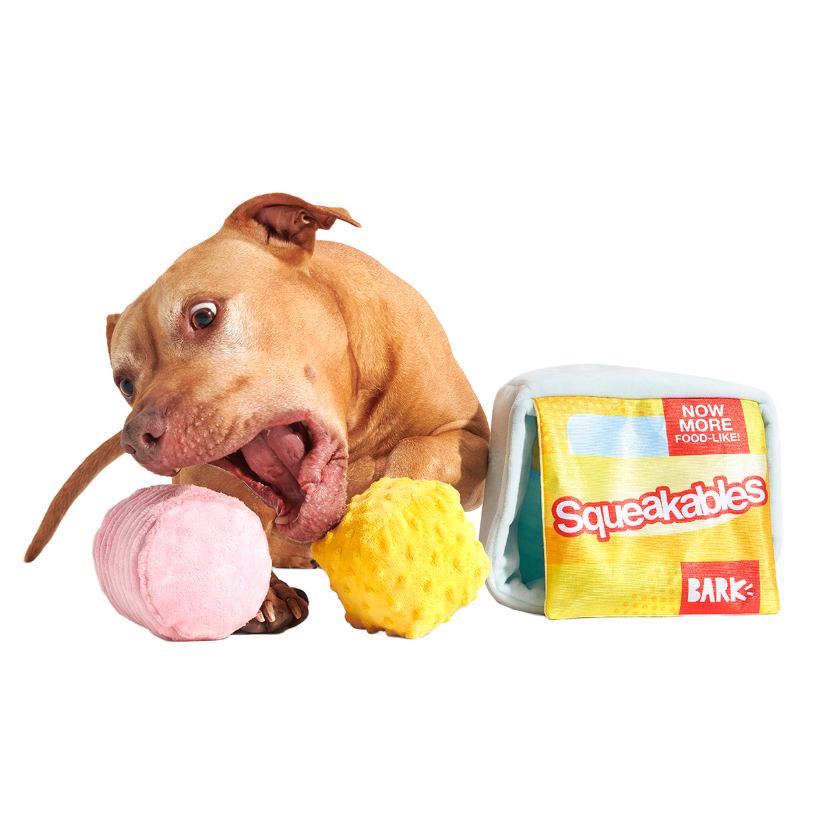 Squeakables Plush Multi-Part + Enrichment Dog Toy
