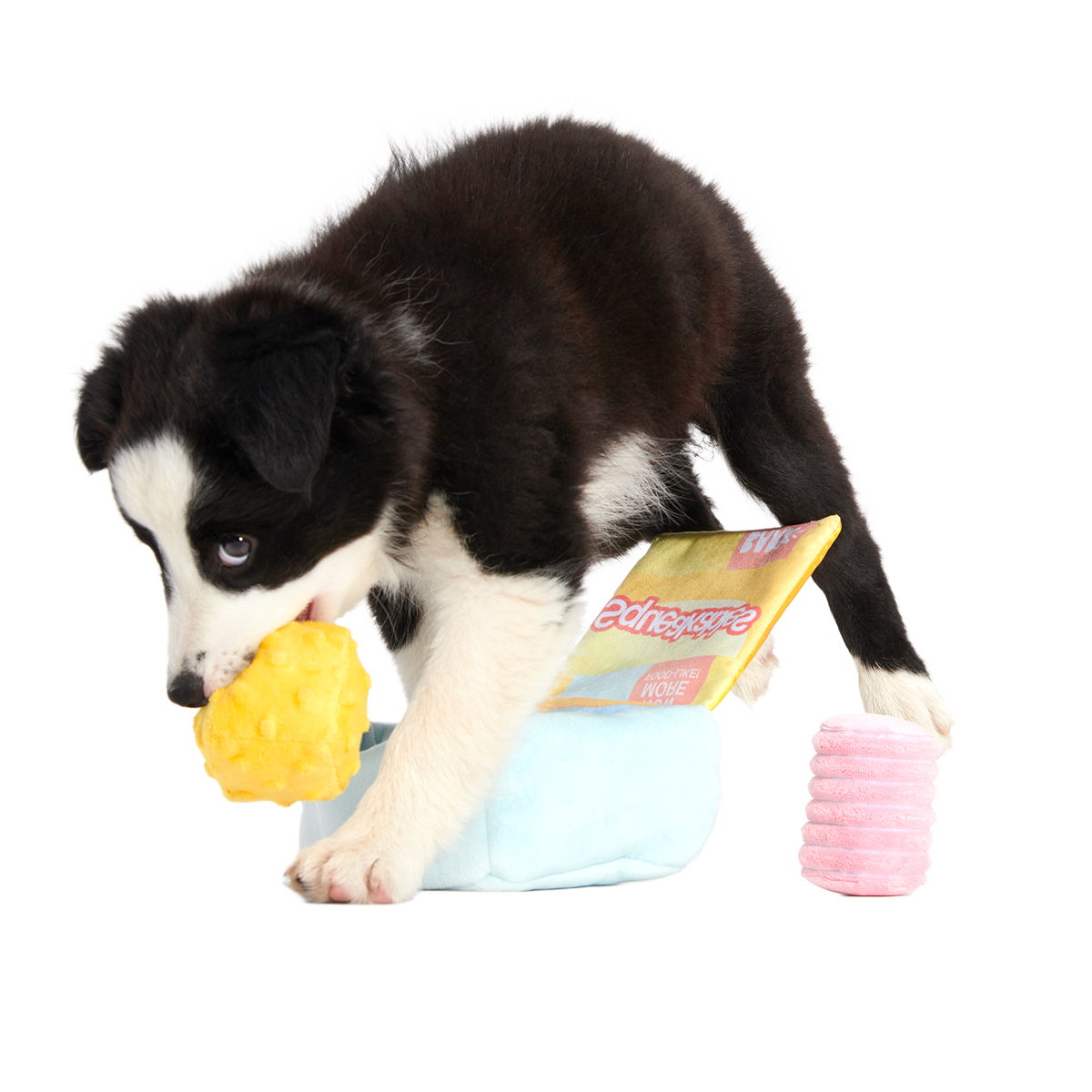 Squeakables Plush Multi-Part + Enrichment Dog Toy