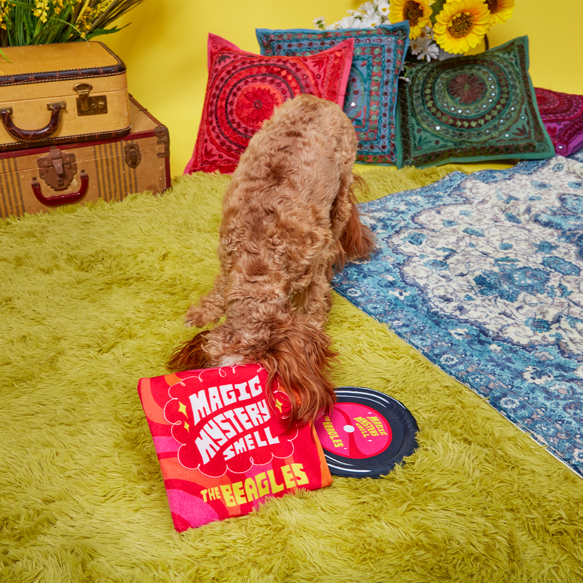 Squeakadelic Tunes Plush Multi-Part Dog Toy