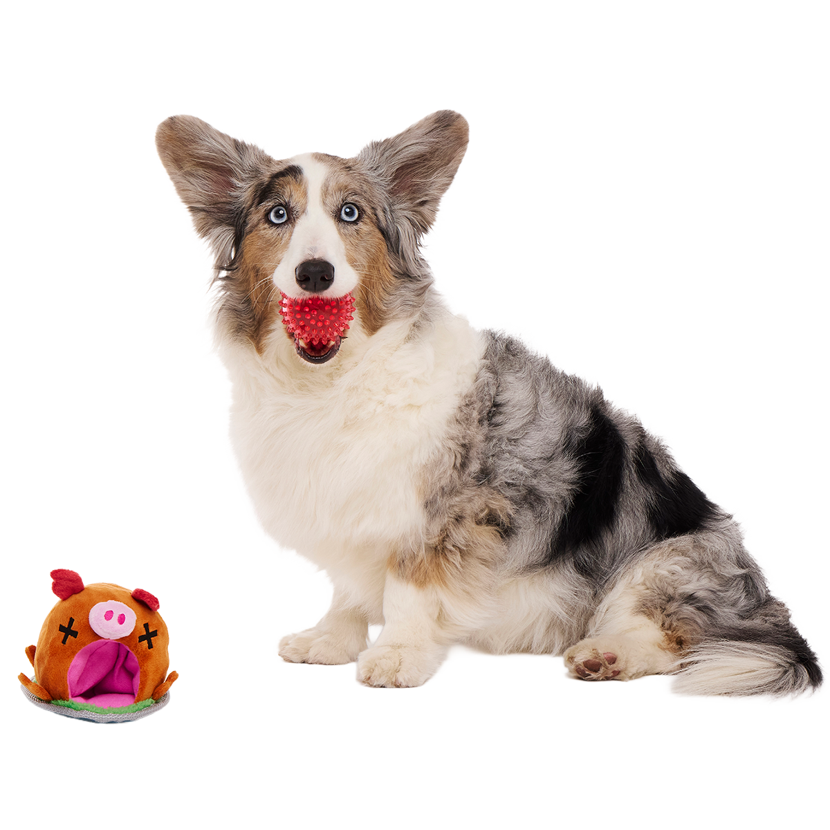 Squeakling Pig Plush Multi-Part + Enrichment + Fetch Dog Toy