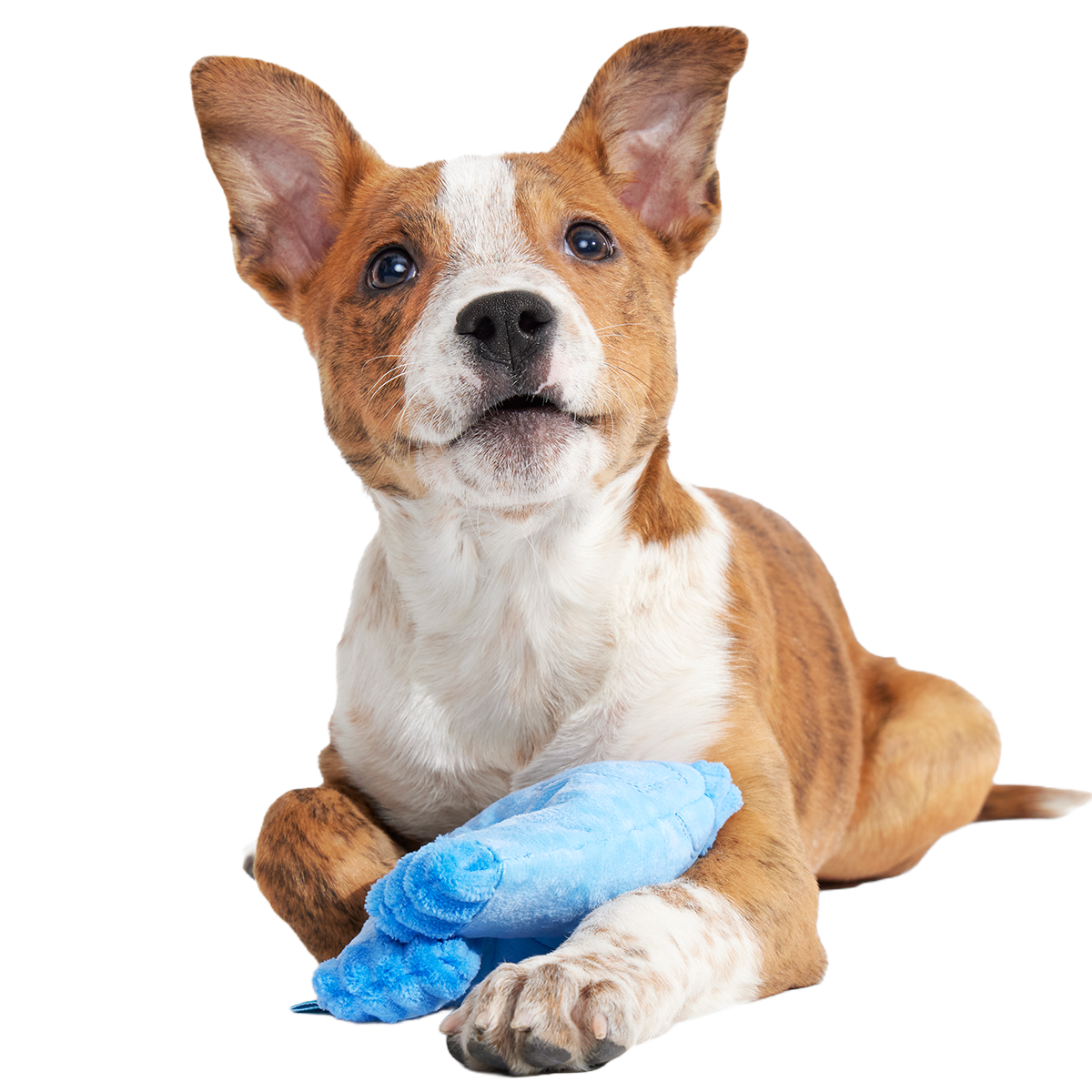 Squeaky Clean Mom Jeans Plush Tug Dog Toy
