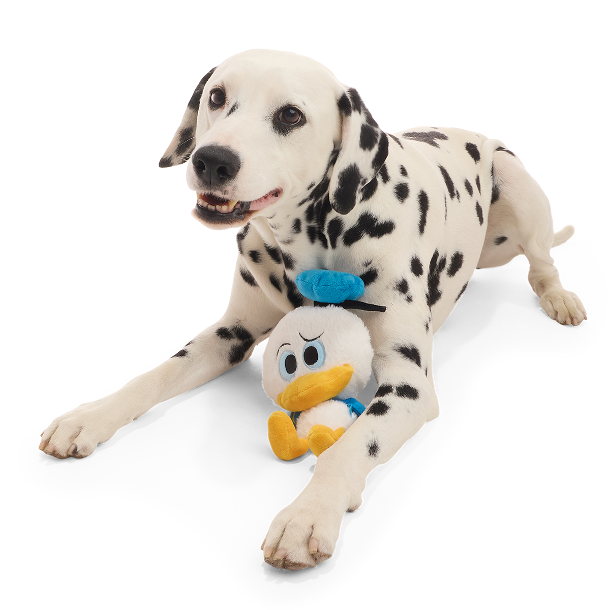 Squeaky Time Donald Plush 2-in-1 + Tug Dog Toy