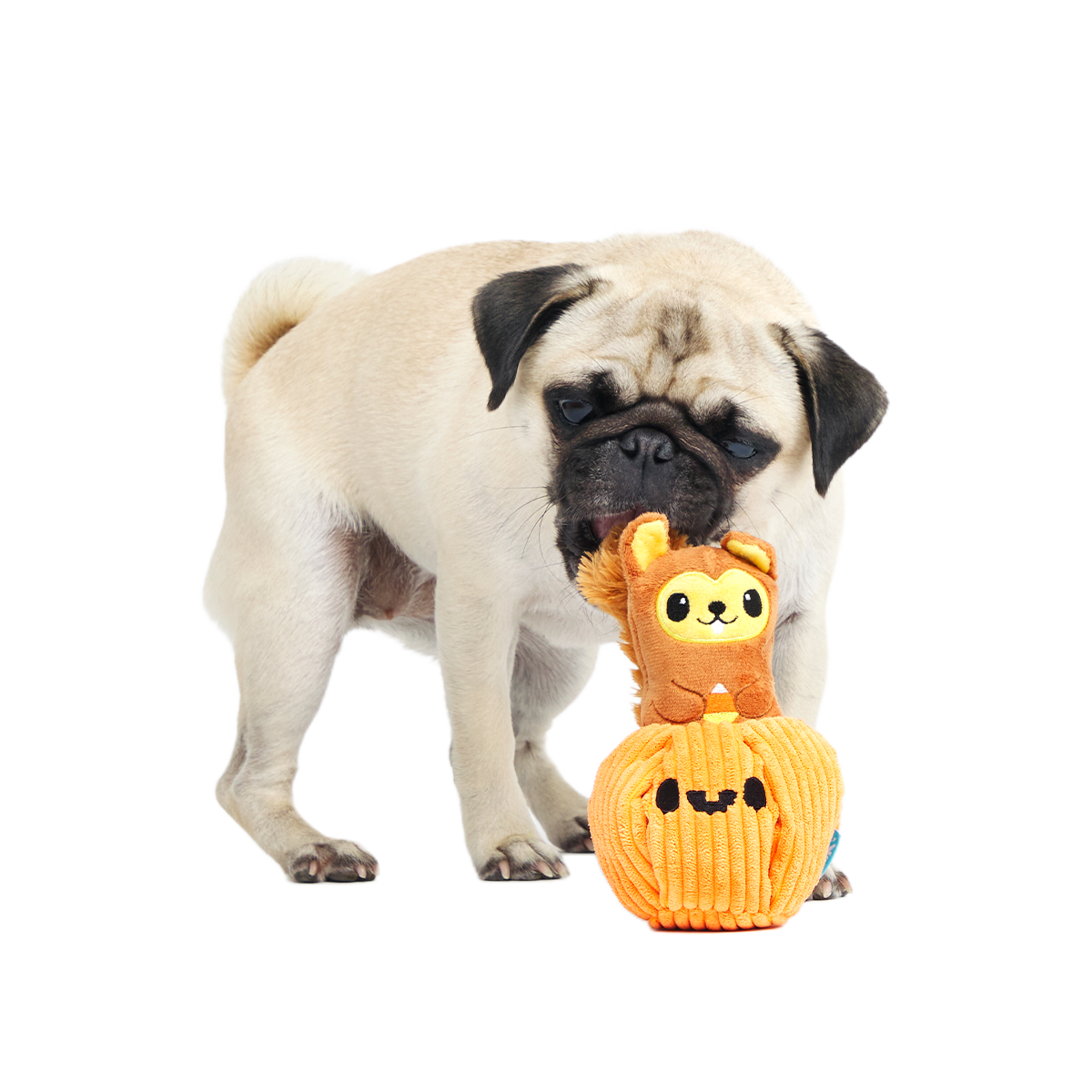 Squirrel-O-Lantern Plush Multi-Part + Enrichment Dog Toy
