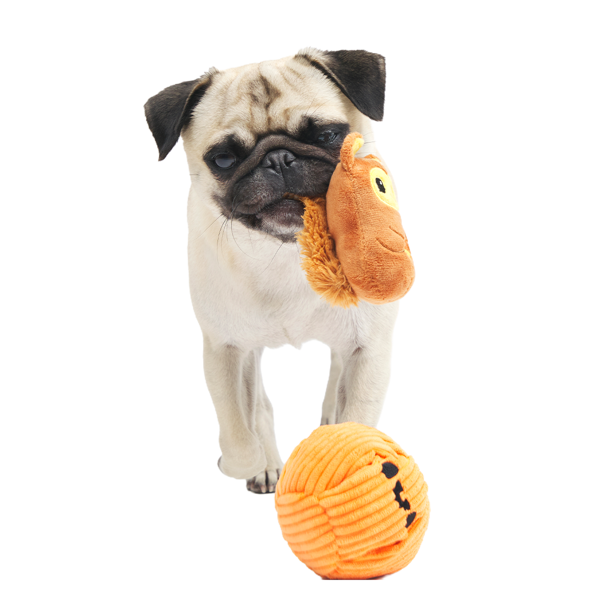 Squirrel-O-Lantern Plush Multi-Part + Enrichment Dog Toy