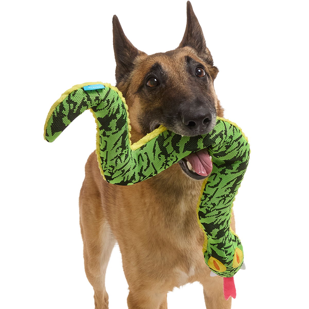 Sssssssssteve Plush XXL Tug Dog Toy – BARK