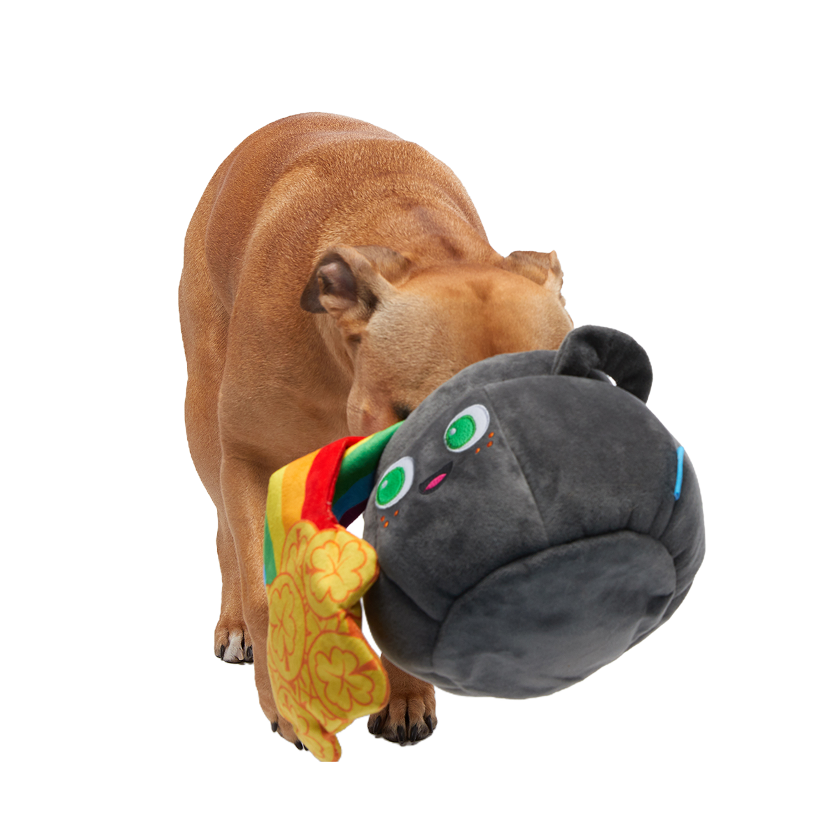 St. Pup's Pot o' Gold Plush Tug + Enrichment Dog Toy