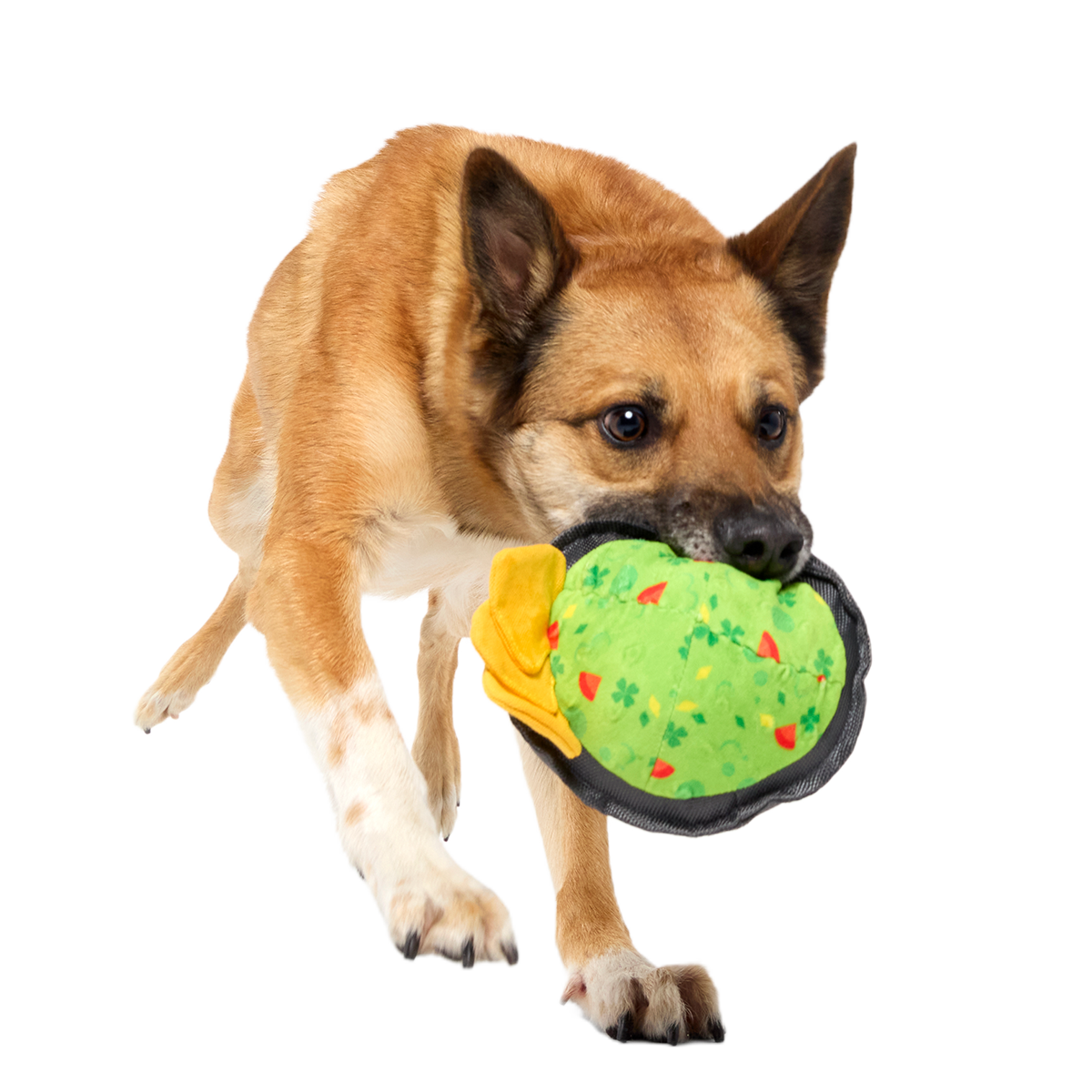 Stop, Guac, & Mole Plush Tug Dog Toy