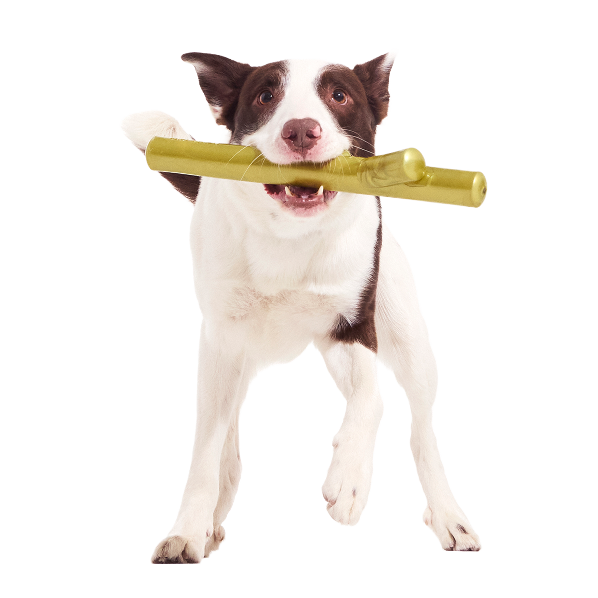 Super Stick Supreme Super Chewer Durable Extra-Large Fetch Dog Toy