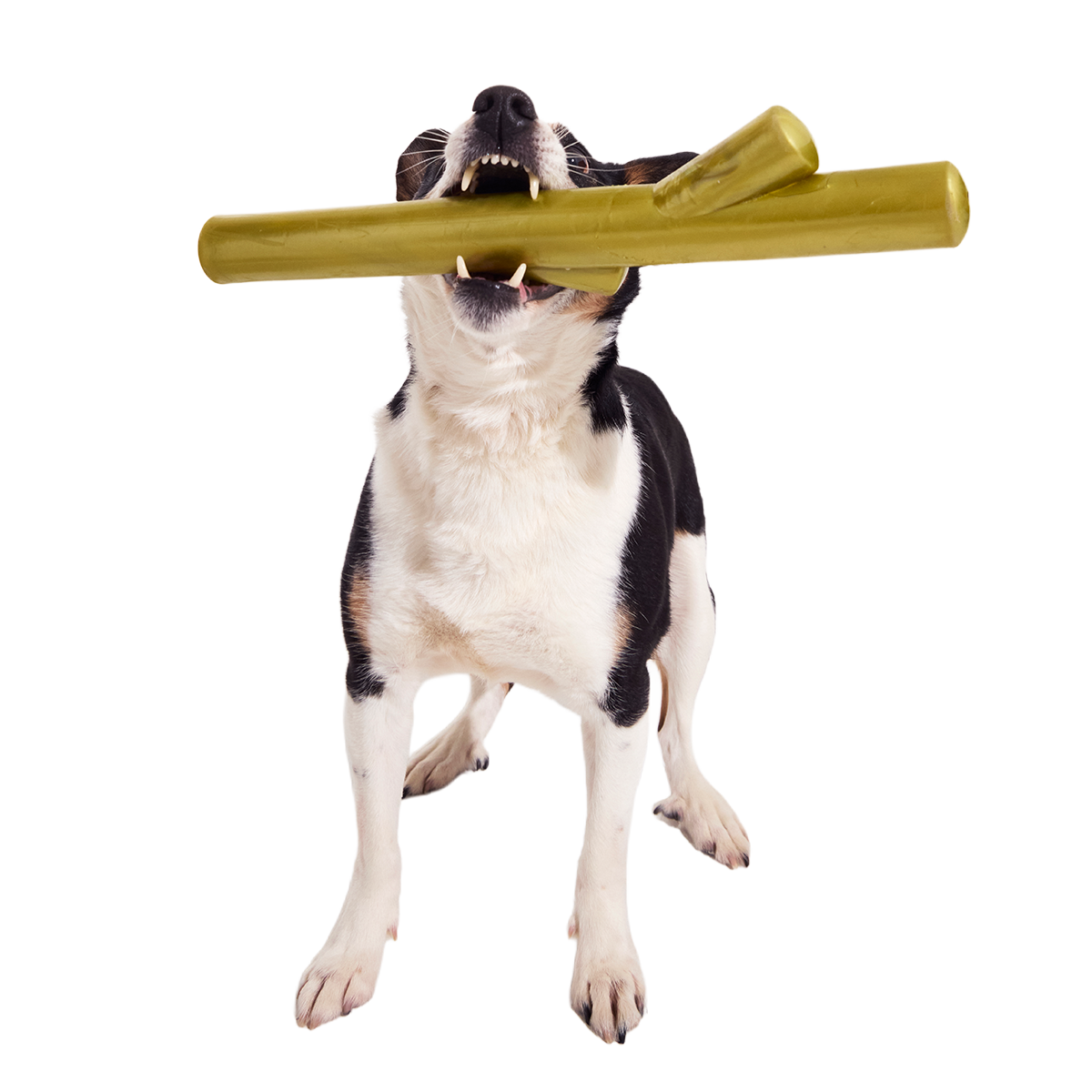 Super Stick Supreme Super Chewer Durable Extra-Large Fetch Dog Toy